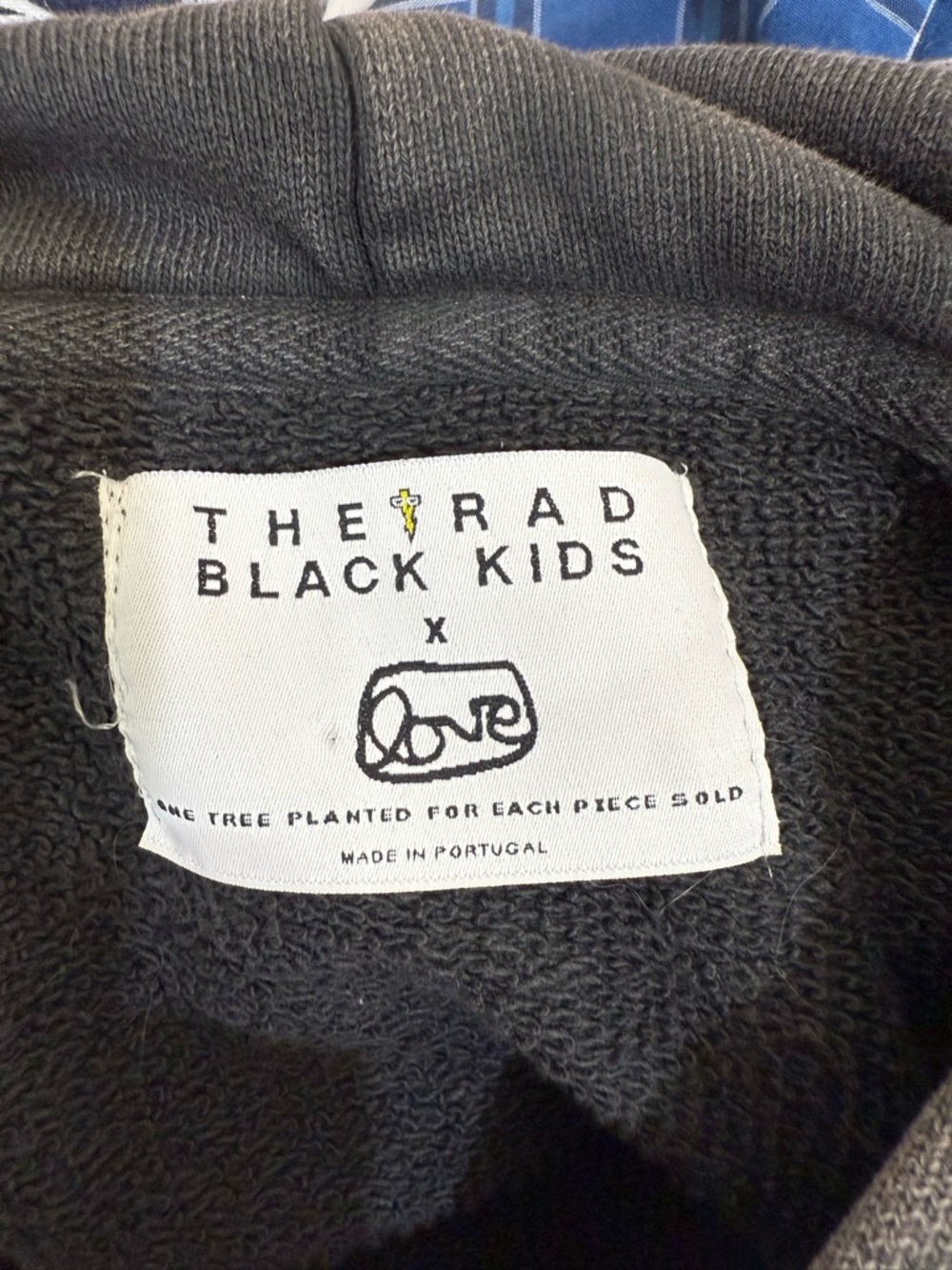 THE RAD BLACK Charcoal Crewneck Hoodie with Blue Butterfly & Daisy Embroidery - Picture 3 of 7